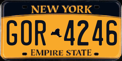 NY license plate GOR4246