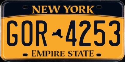 NY license plate GOR4253