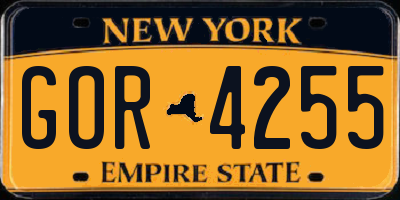 NY license plate GOR4255