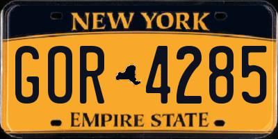 NY license plate GOR4285