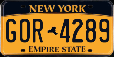 NY license plate GOR4289