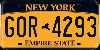 NY license plate GOR4293