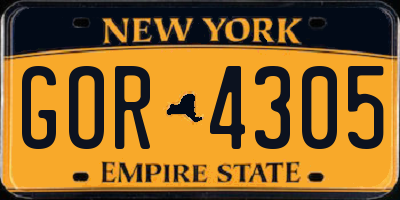 NY license plate GOR4305