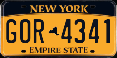 NY license plate GOR4341