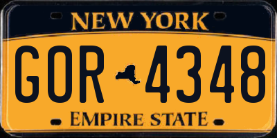 NY license plate GOR4348