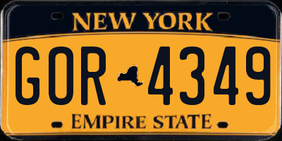 NY license plate GOR4349