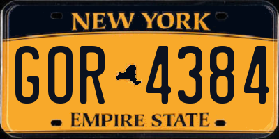 NY license plate GOR4384