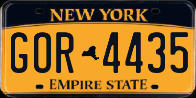 NY license plate GOR4435