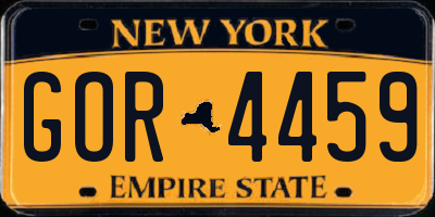 NY license plate GOR4459
