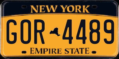 NY license plate GOR4489