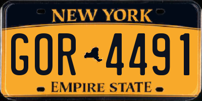 NY license plate GOR4491