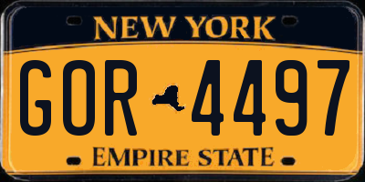 NY license plate GOR4497