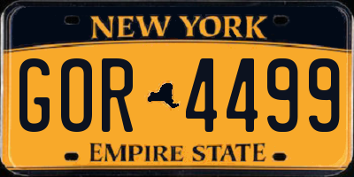 NY license plate GOR4499