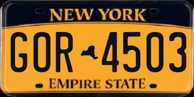 NY license plate GOR4503