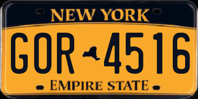 NY license plate GOR4516