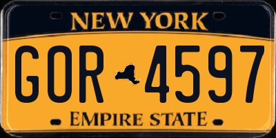 NY license plate GOR4597