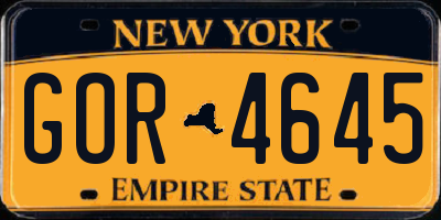 NY license plate GOR4645