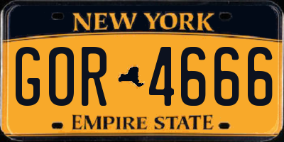 NY license plate GOR4666