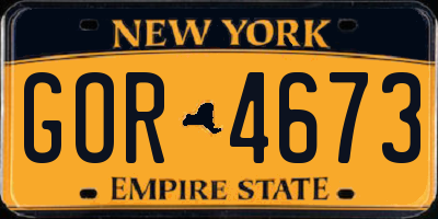 NY license plate GOR4673