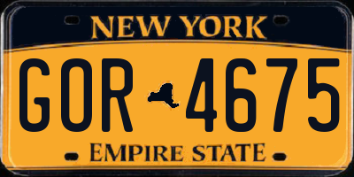 NY license plate GOR4675