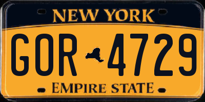 NY license plate GOR4729