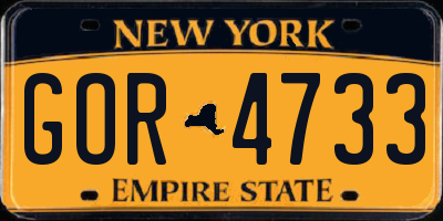 NY license plate GOR4733