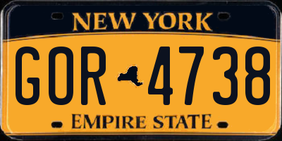 NY license plate GOR4738