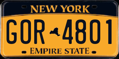 NY license plate GOR4801