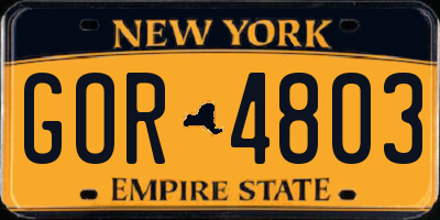 NY license plate GOR4803
