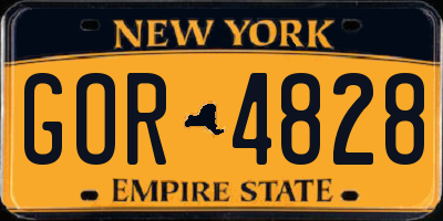 NY license plate GOR4828