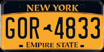 NY license plate GOR4833