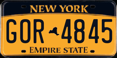 NY license plate GOR4845