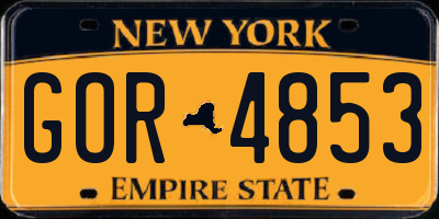 NY license plate GOR4853