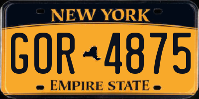 NY license plate GOR4875