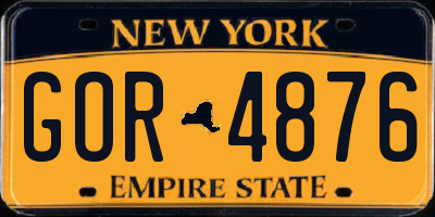 NY license plate GOR4876