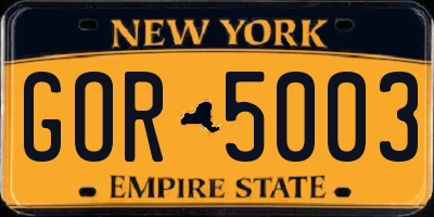 NY license plate GOR5003