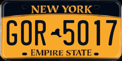 NY license plate GOR5017