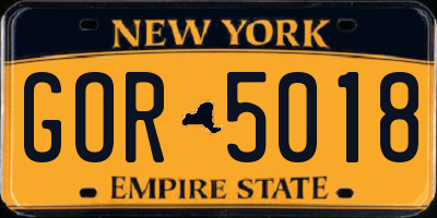 NY license plate GOR5018