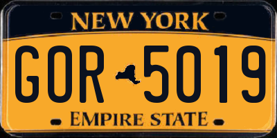 NY license plate GOR5019