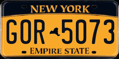 NY license plate GOR5073