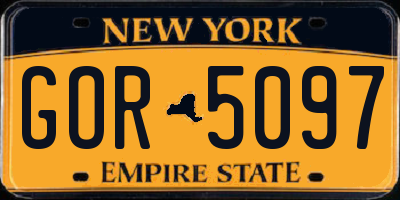 NY license plate GOR5097