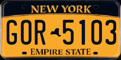 NY license plate GOR5103
