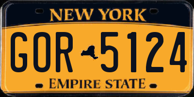 NY license plate GOR5124
