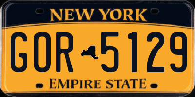 NY license plate GOR5129