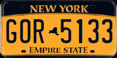 NY license plate GOR5133
