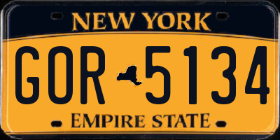 NY license plate GOR5134