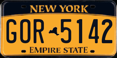 NY license plate GOR5142
