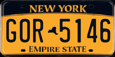 NY license plate GOR5146