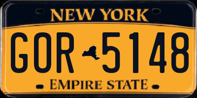 NY license plate GOR5148