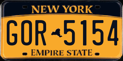 NY license plate GOR5154